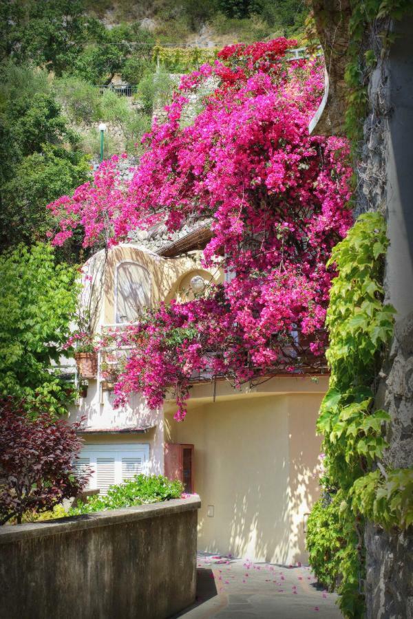 Venus Apartment Positano Exterior photo